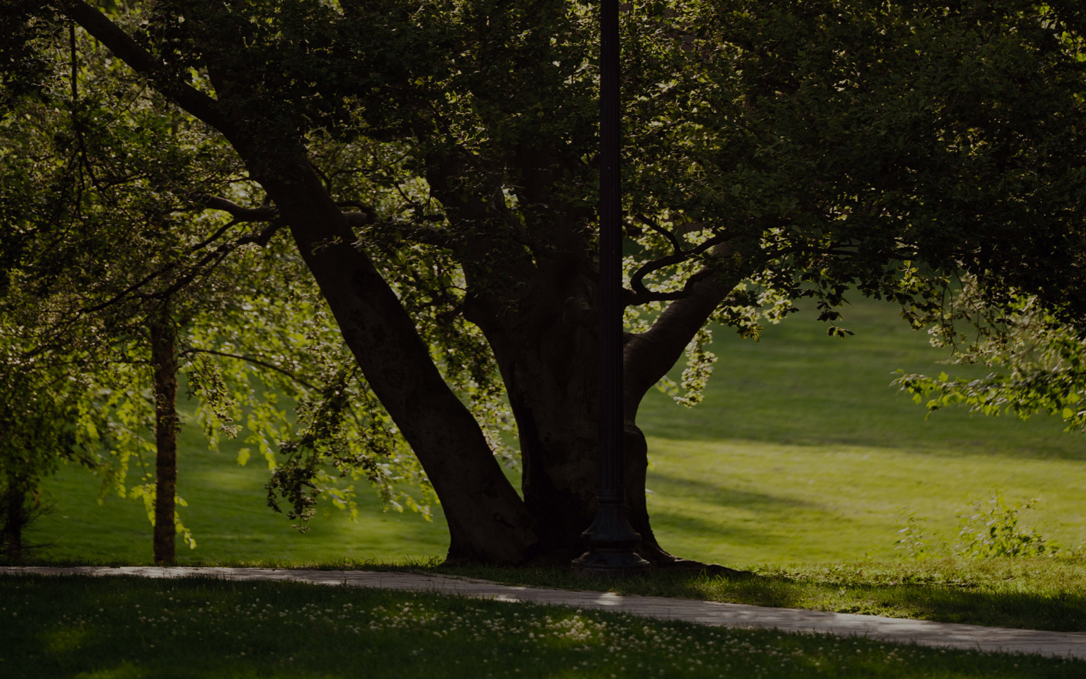 Gnw_Nh_6964_mdf3_WEB_Landscape